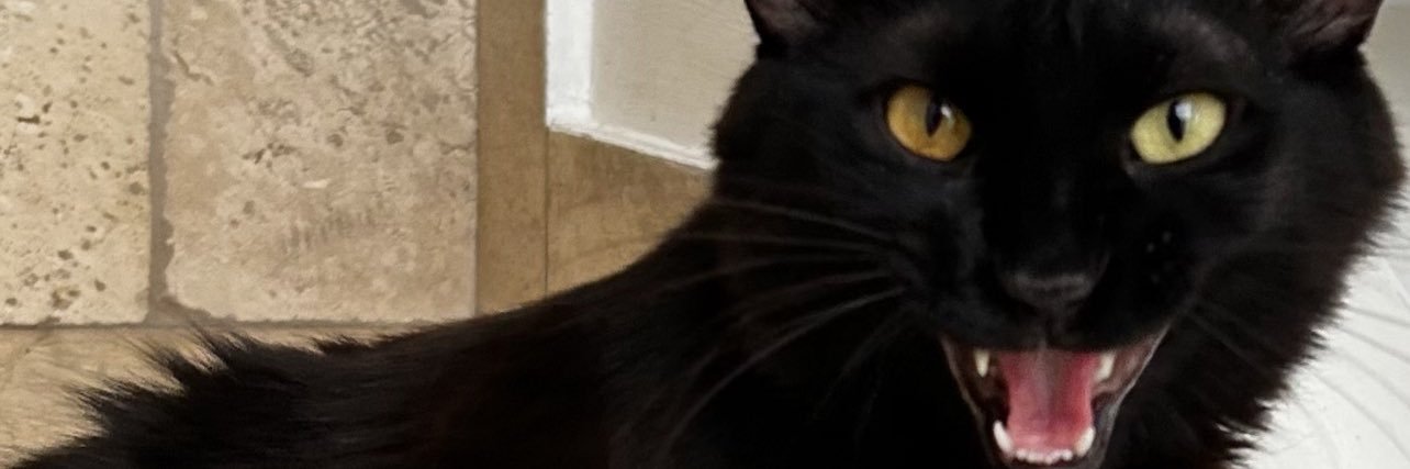 juanastu's profile banner image