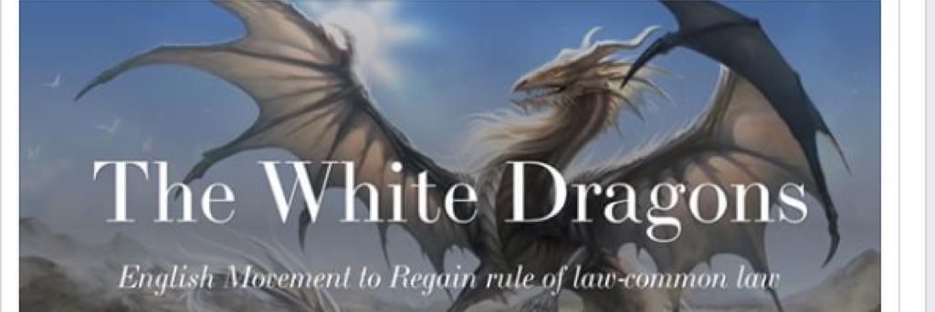 nightfirered1's profile banner image