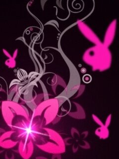 neloflores's profile banner image