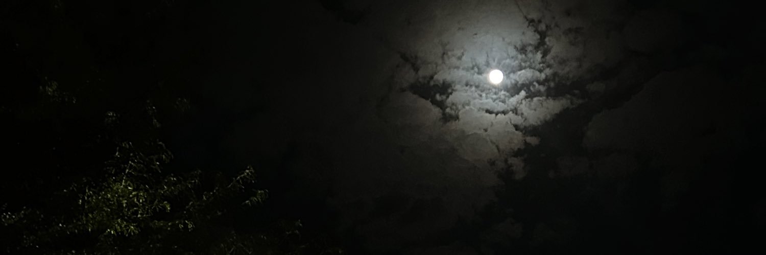 New_1o's profile banner image
