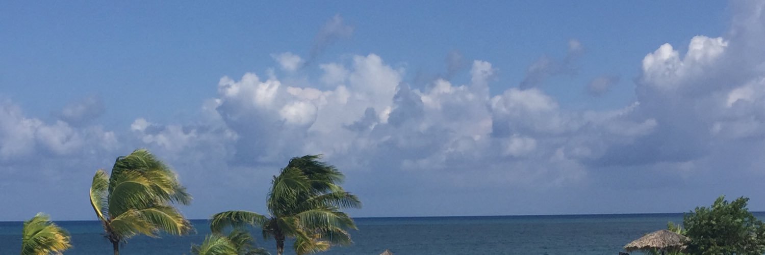reedfj's profile banner image