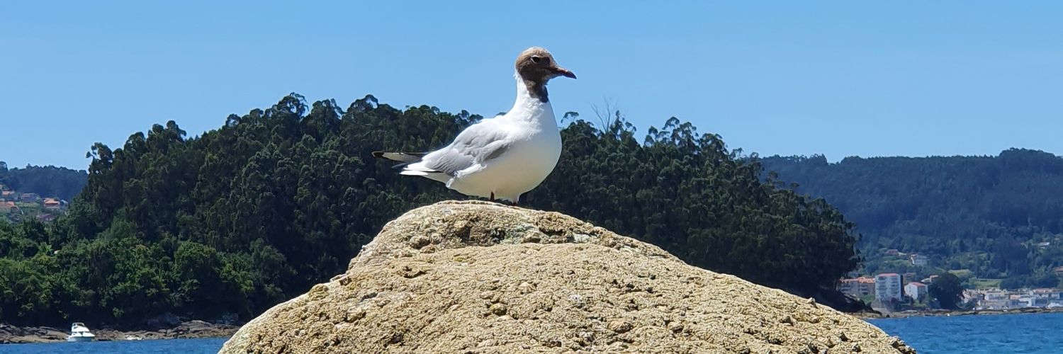 cmbonte's profile banner image