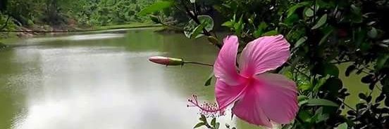 AtaurRa89465237's profile banner image