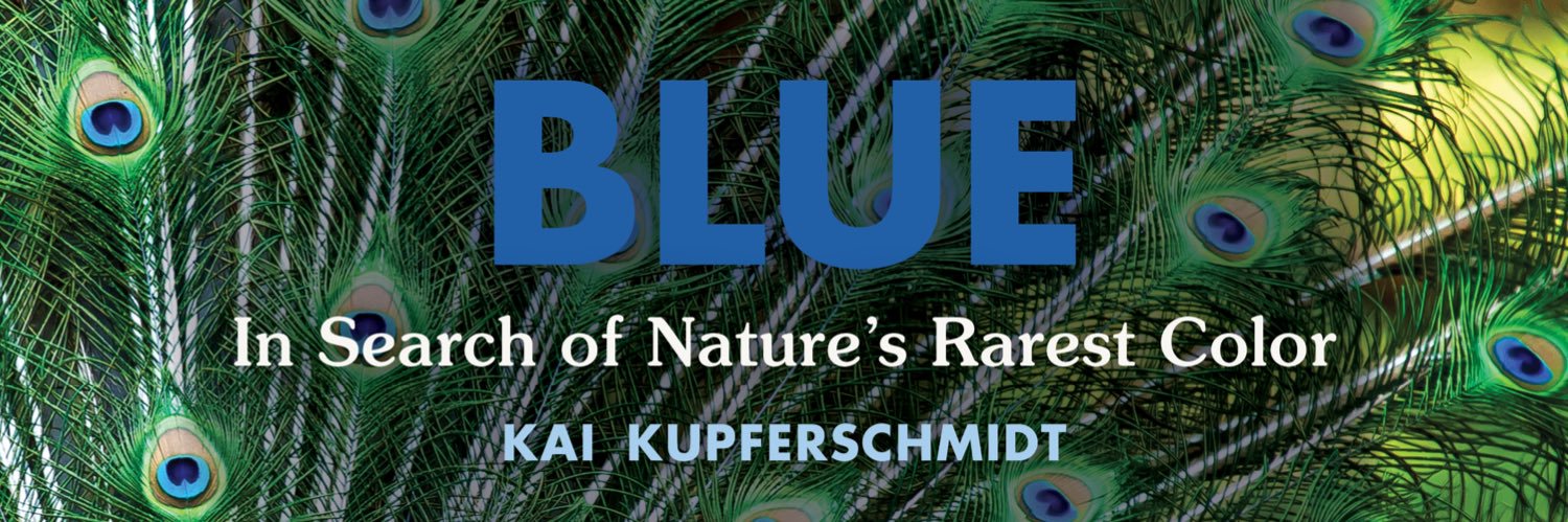 Kai Kupferschmidt's banner