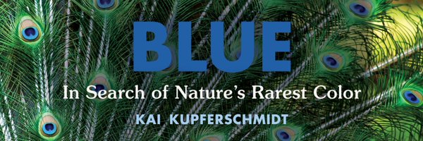 kakape Profile Banner