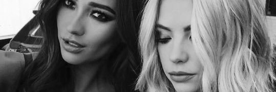ibearianator's profile banner image