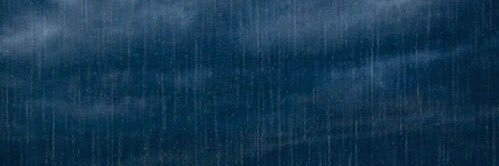 🎶 banner