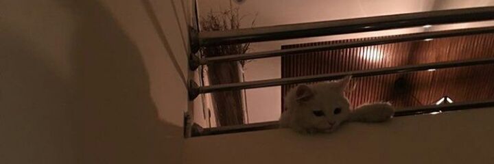 Sabah_00h's profile banner image