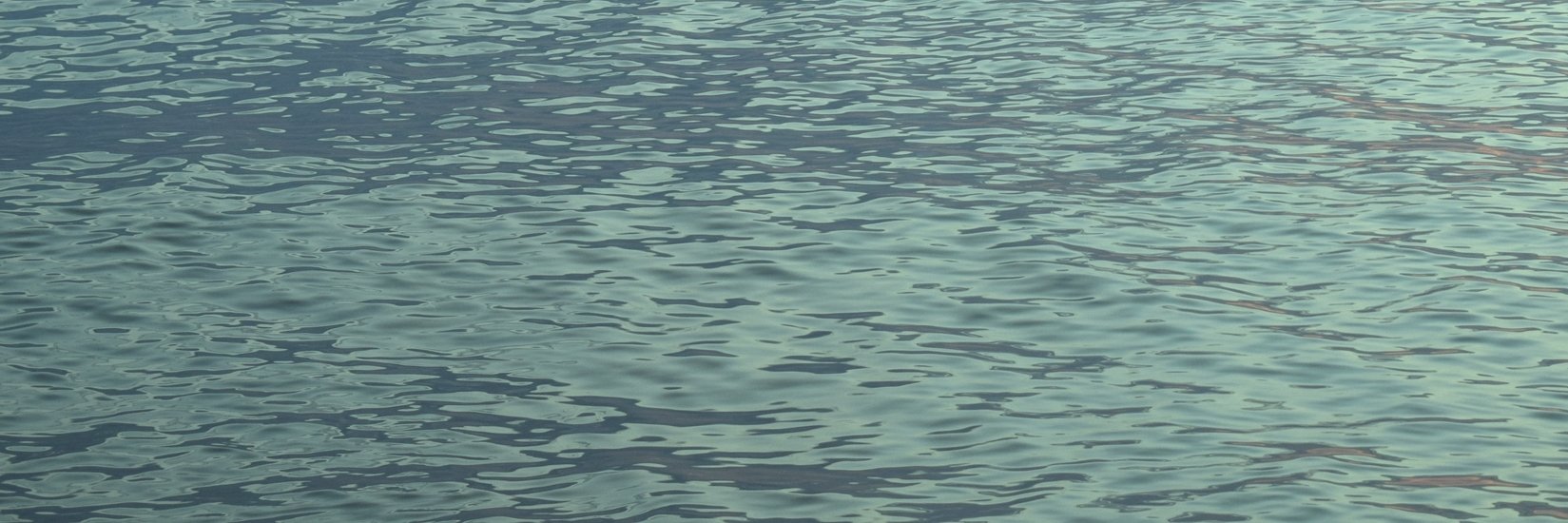 doradaabe's profile banner image