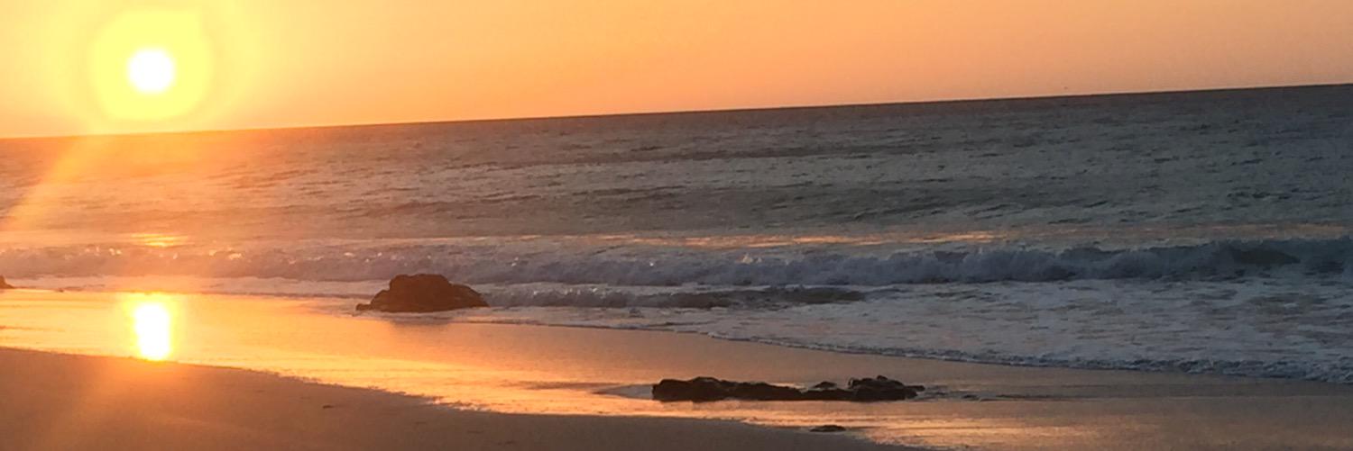 AbbyF94's profile banner image