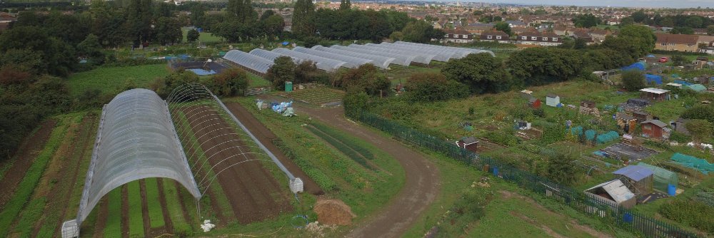 Steve in Bristol banner