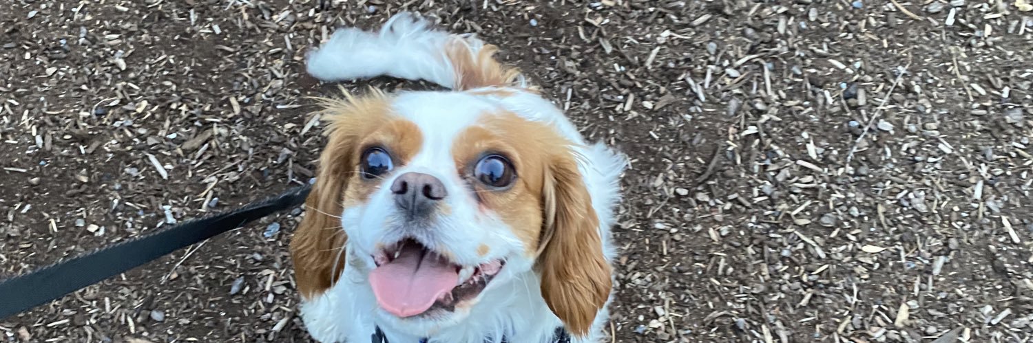 Baileybear009's profile banner image