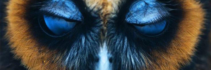 AislingGallagh2's profile banner image