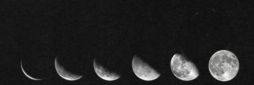 roberto_pacman's profile banner image