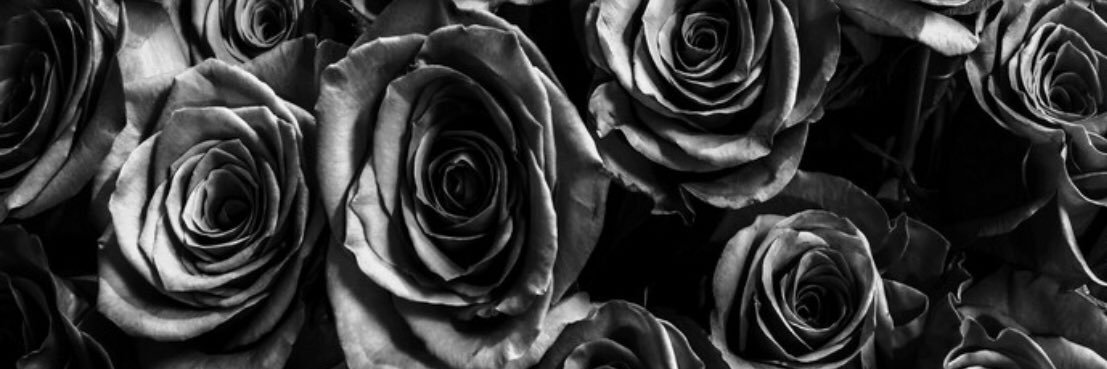 SaraAssaaf's profile banner image