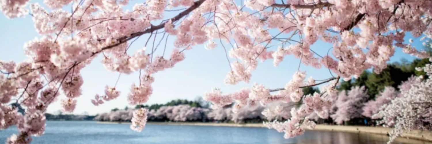 GeeDeeEm's profile banner image