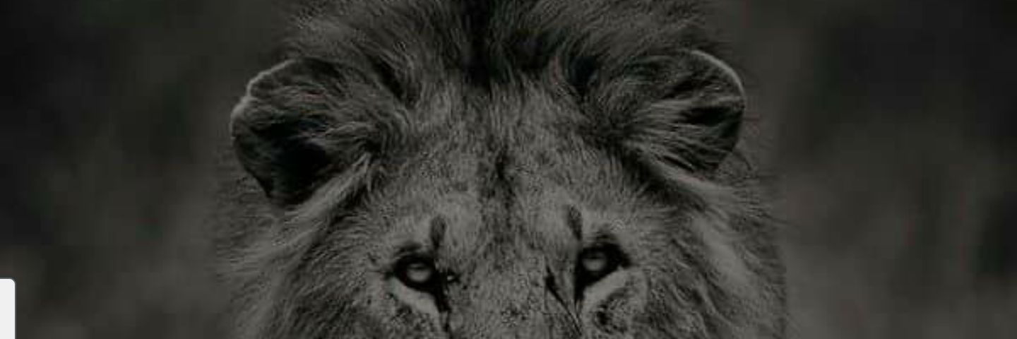 PuertasBerry32's profile banner image