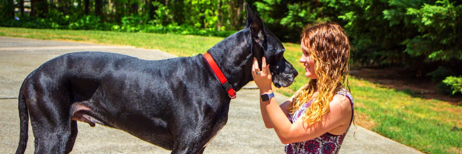 Kara Demkowski banner