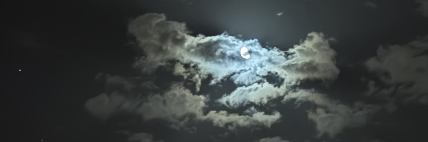 __are11's profile banner image