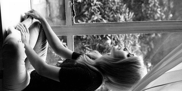 Allen Francis Doyle. banner