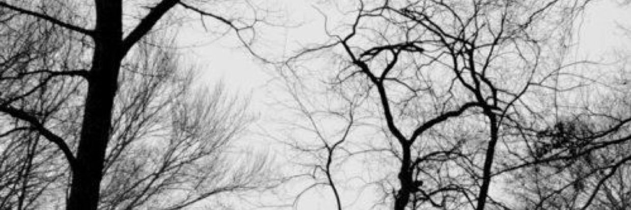Endokrish's profile banner image
