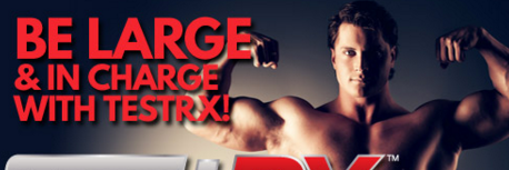 testrxpills's profile banner image