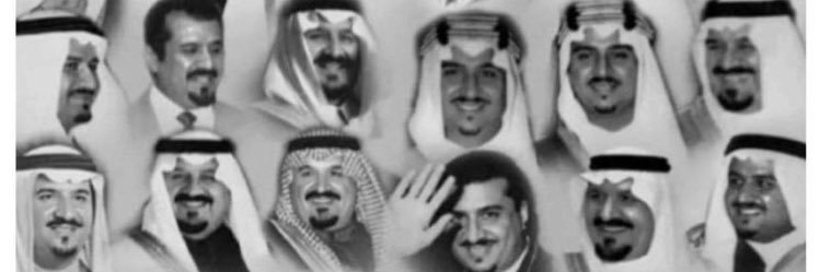 محياء | MOHAYYA banner