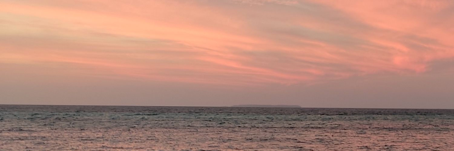 walnutunicorn's profile banner image