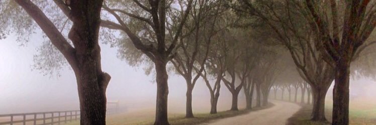 BurkParsons's profile banner image