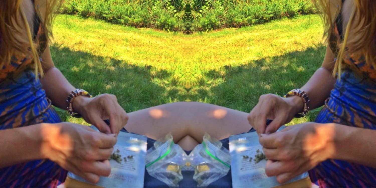 msdarcycarter's profile banner image