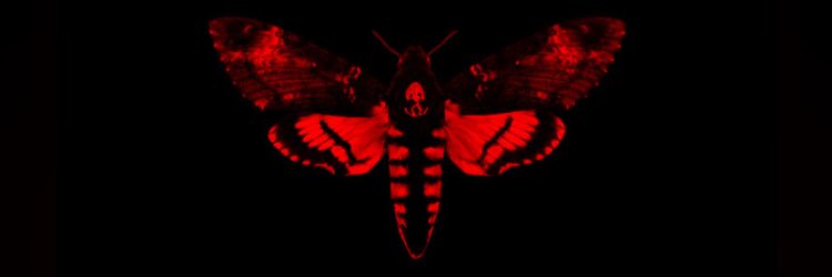 PMrgan's profile banner image