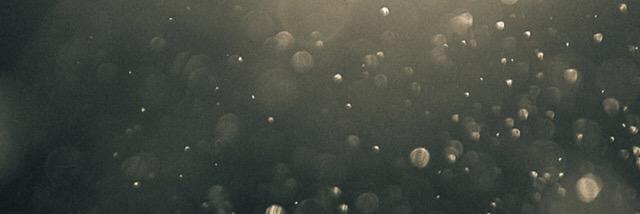 _amanda_rupp's profile banner image