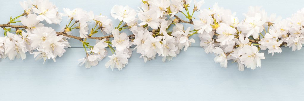 ZTA_AlphaMu's profile banner image