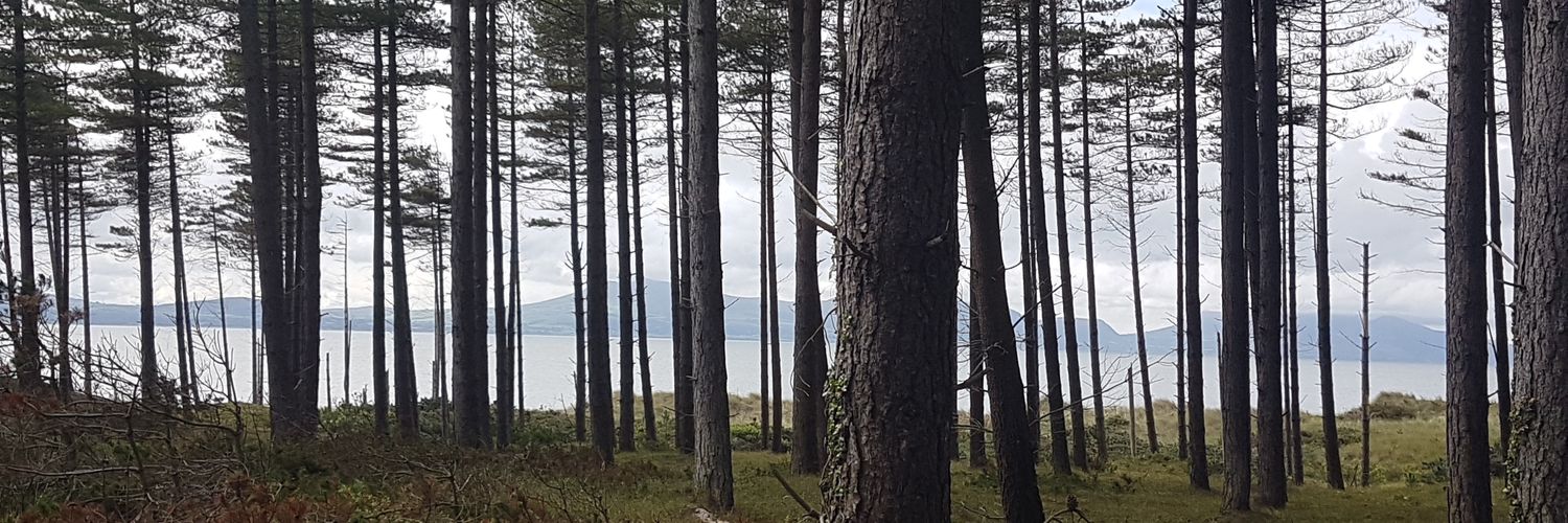 toebag's profile banner image