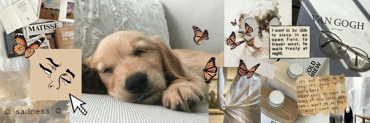 _cutelouis's profile banner image
