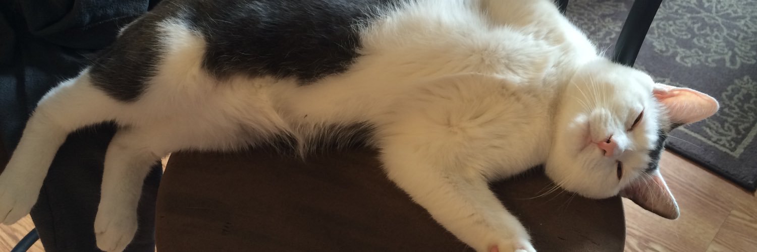 bound2pizza's profile banner image