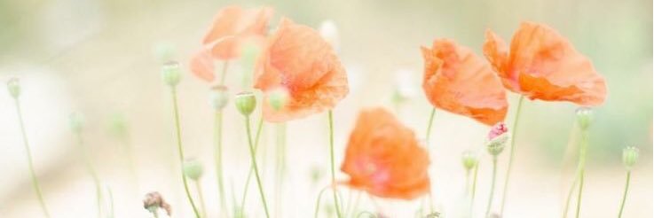 Bailey_Maelynn's profile banner image
