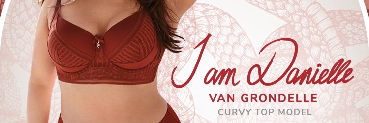 daniellevangrondelle banner