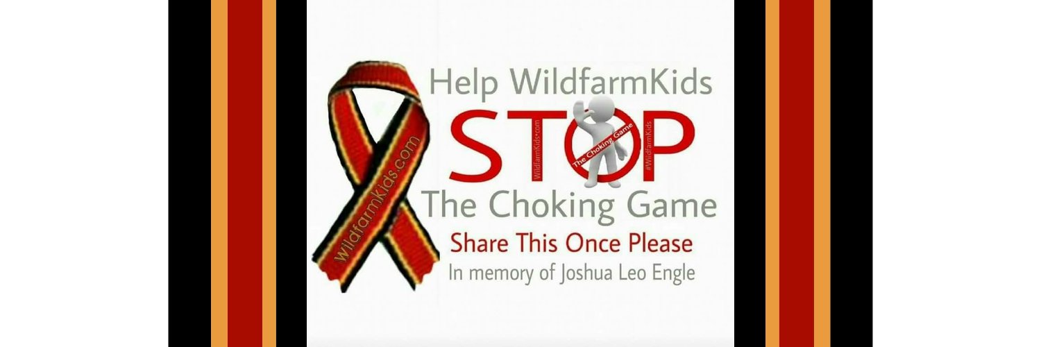 WildFarmKids's profile banner image