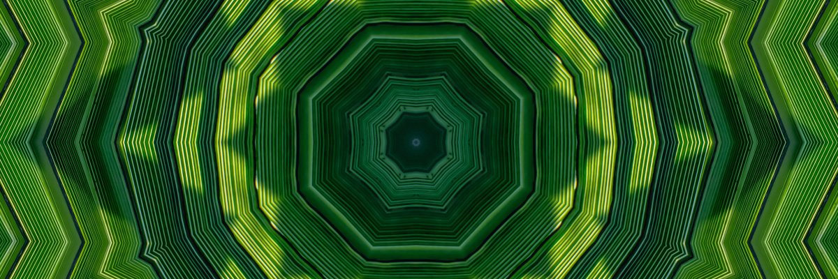 darrett's profile banner image
