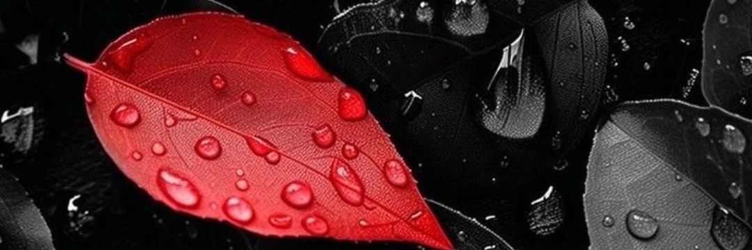 خلف الحمدان banner