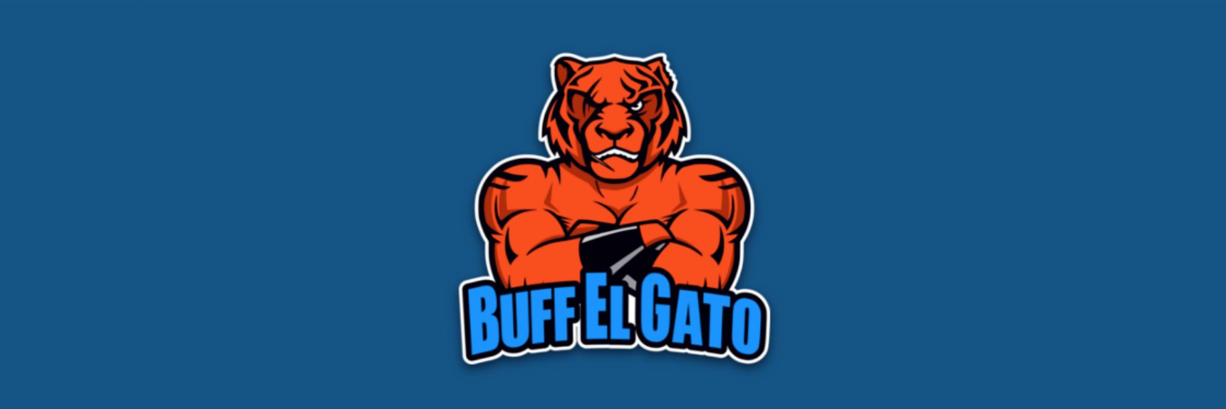 BuffElGato's profile banner image