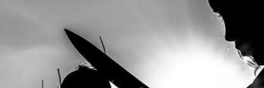PalomaChef's profile banner image
