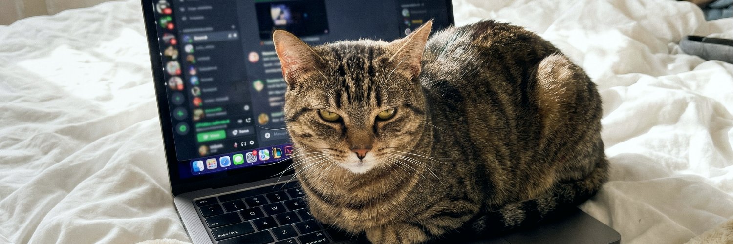 muzzajood's profile banner image