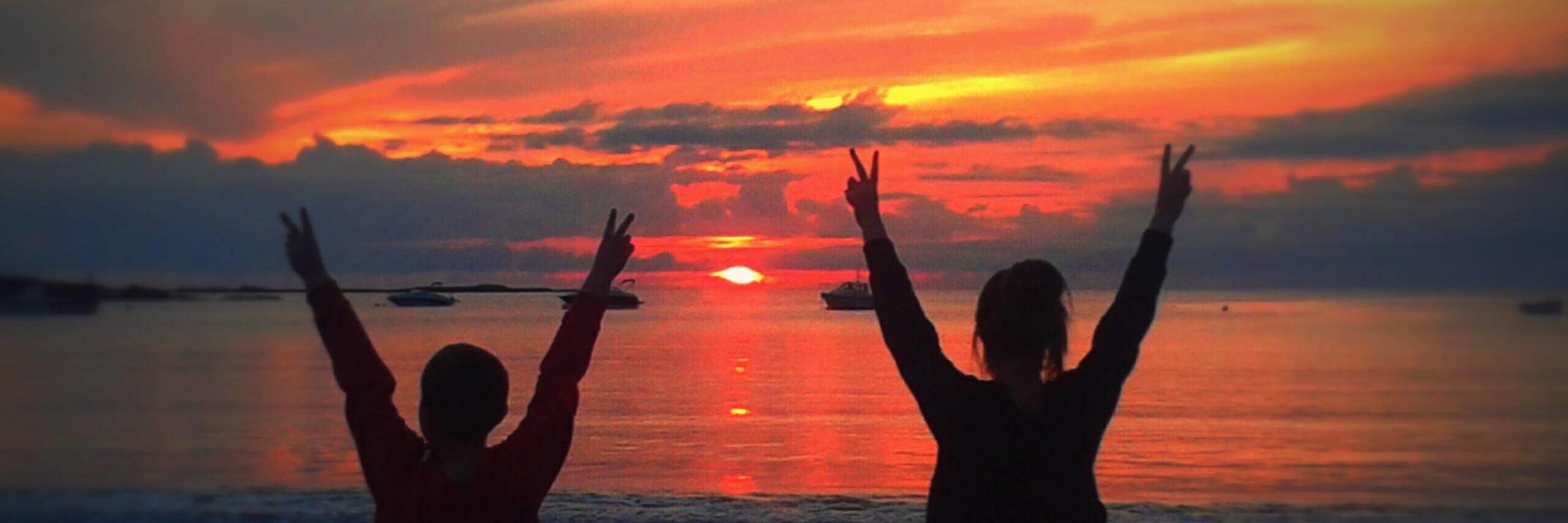 sineadd55's profile banner image