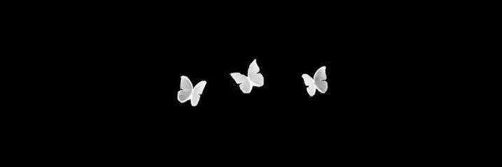 alexane_90's profile banner image