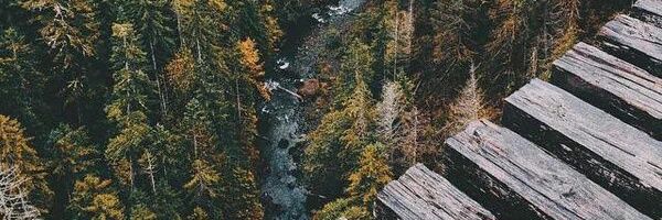 Jorgetr98's profile banner image