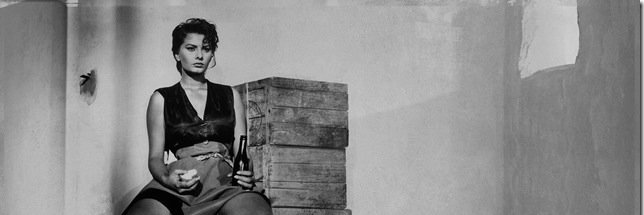 Geyserville Gun Club banner