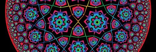 toni "shamans dont read news" lane 🧠💃🏻🌺 banner