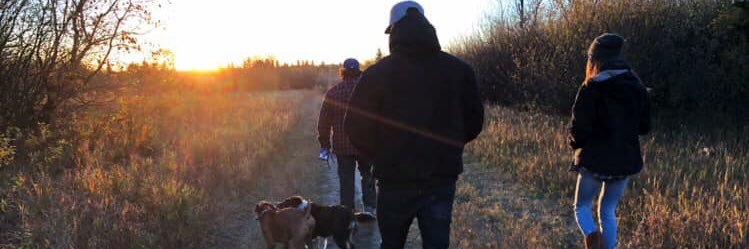 tessthiessen's profile banner image